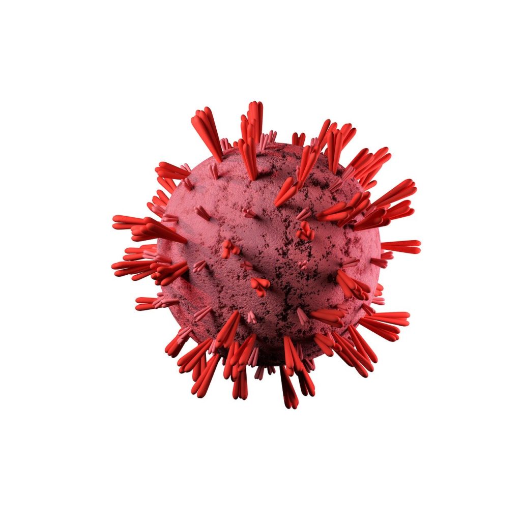 Coronavirus Covid Covid  Corona  - outsideclick / Pixabay