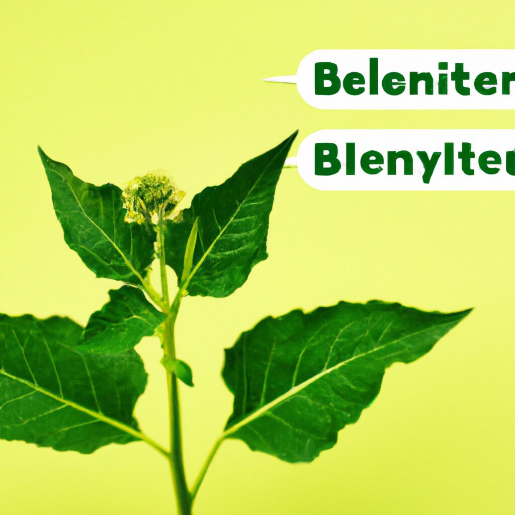 Grüne Pflanze vor gelbem Hintergrund