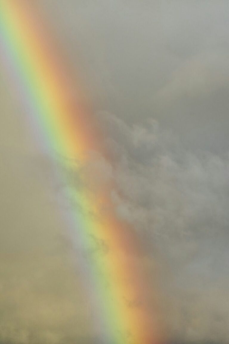Regenbogen über einer Landschaft
