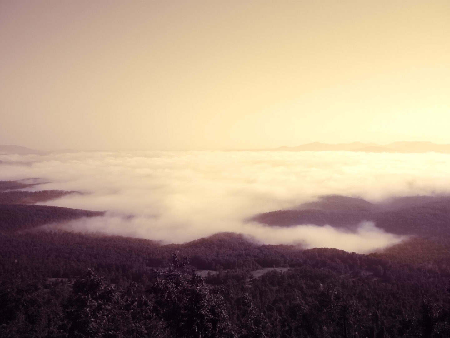 Nebel über einer Landschaft
